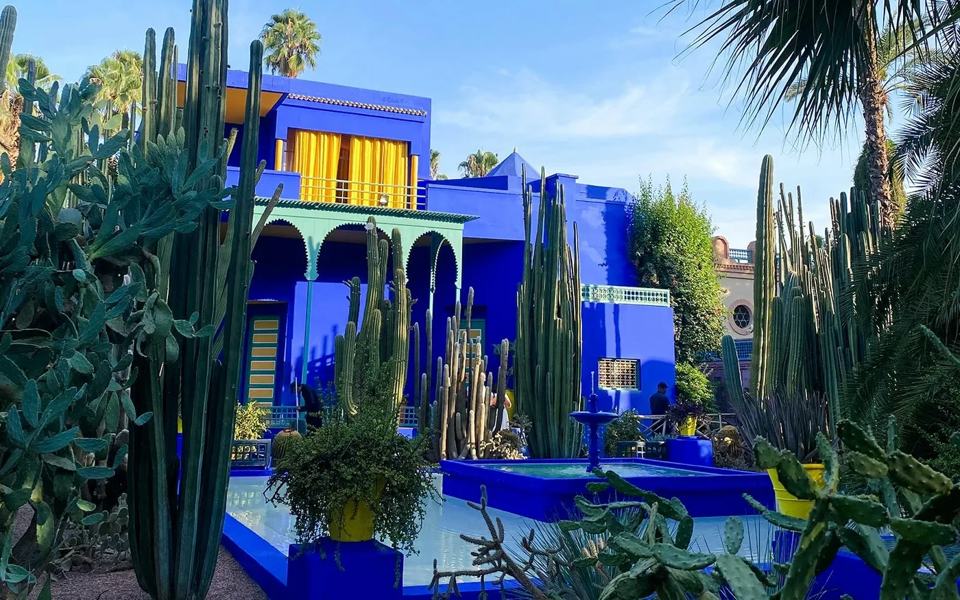 Cobalt-blue garden building framed by tall cacti at Jardin Majorelle